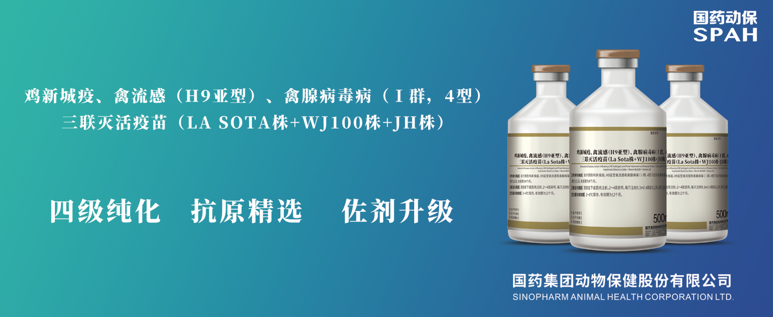 國(guó)藥威克 66d87991-9eb8-4021-a8fb-fc90830d37ab.png