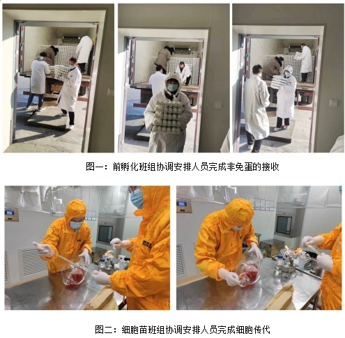 國(guó)藥威克 76383d98-7111-403a-8447-0608b211a355.jpg